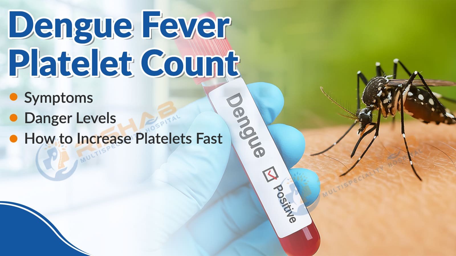 Dengue Fever Platelet Count: Symptoms, Danger Levels & How to Increase Platelets Fast